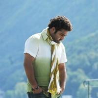 Jr.NTR and Tamanna's Oosaravelli New Stills | Picture 90498